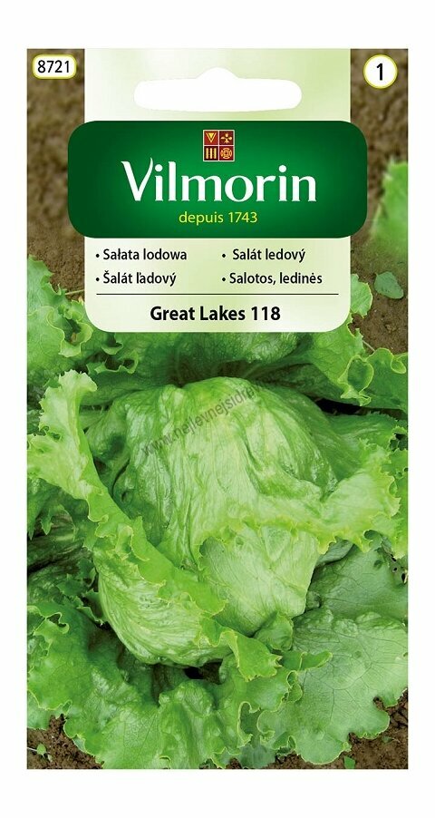 Vilmorin CLASSIC salát hlávkový Great Lakes 118 - středně pozdní 0,2 g